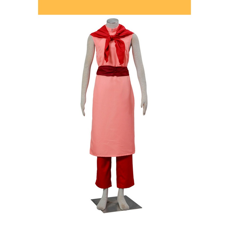 Dragon Ball Chi Chi Cosplay Costume