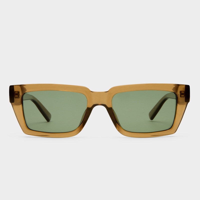 NOCTURNAL HABIT | UMBER POLARIZED