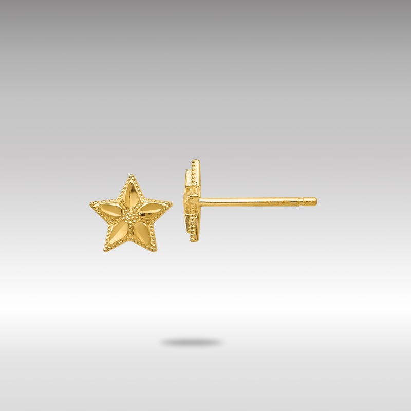 Gold Polished and D/C Star Post Earrings – Model TM782