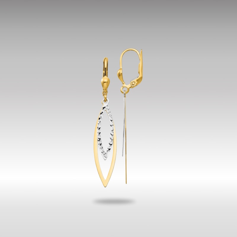Gold Two-tone Diamond-cut Leverback Earrings Model-TL305