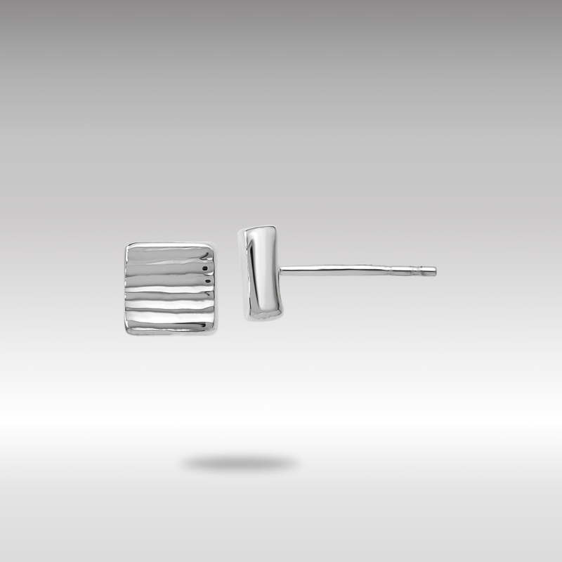 White Gold Leslie’s 14K White Gold Post Earrings – Model LE1250