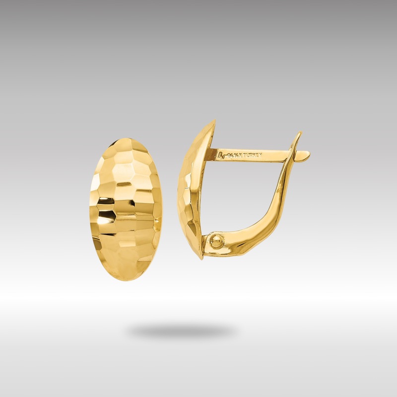 Gold Leslie’s 14K Polished and Hammered Hinged Post Earrings – Model LE686