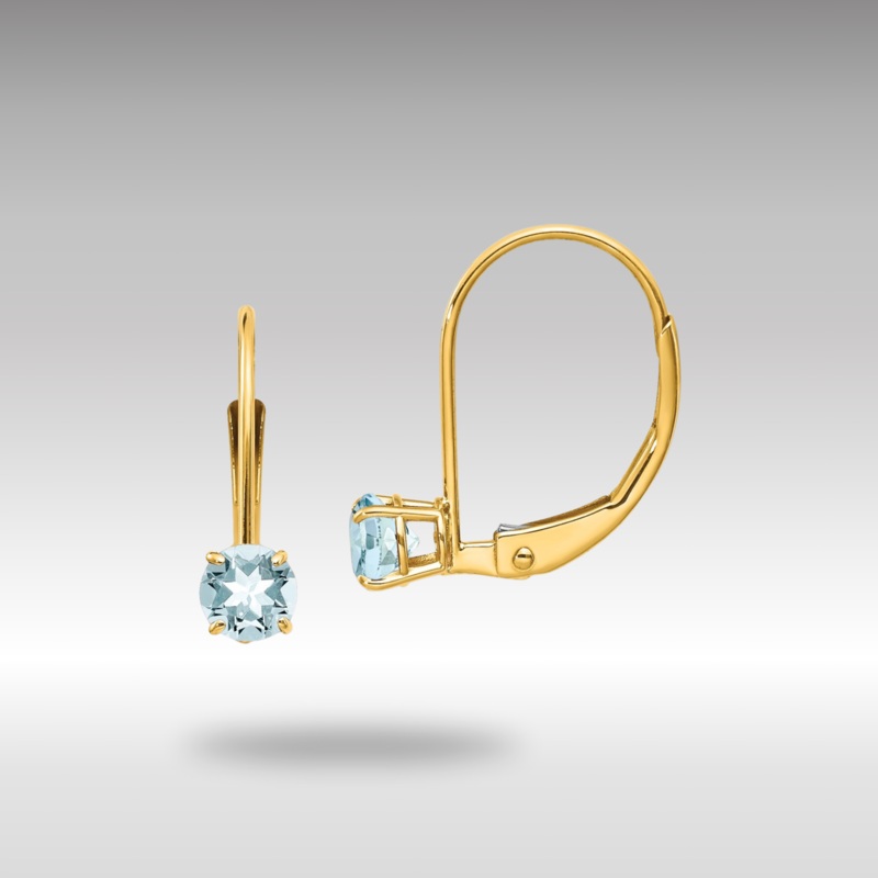 Gold Aquamarine Leverback Earrings – March Model-XBE75