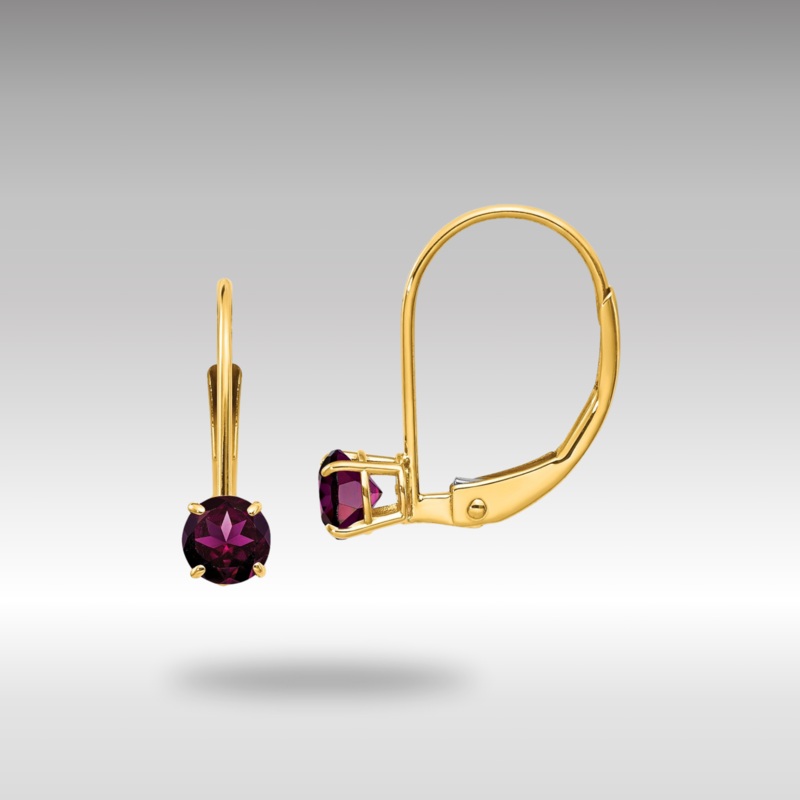 Gold 4mm Round June/Rhodolite Leverback Earrings Model-XBE78