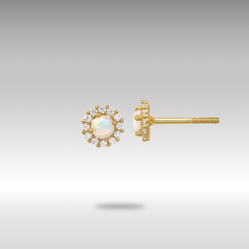 Gold Polished CZ and Created Opal Circle Screwback Post Earrings – Model YE2134