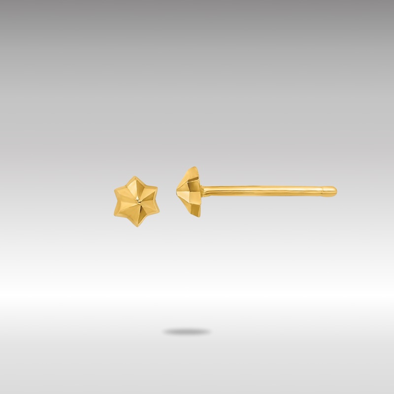 Gold Polished Diamond Cut Star Post Earrings – Model YE1965