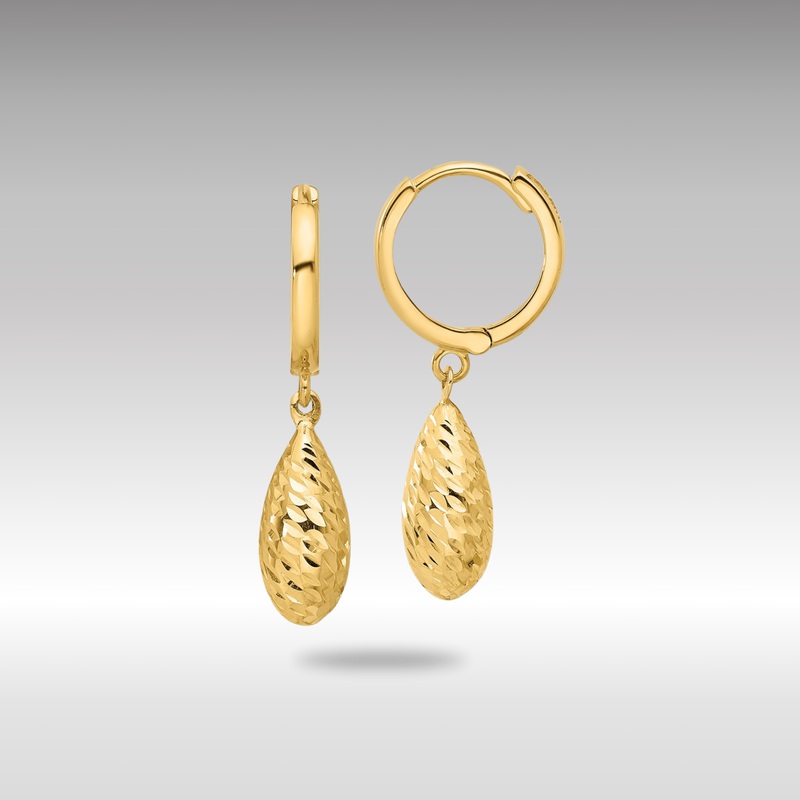 Gold Leslie’s 14K Polished and Diamond-cut Dangle Hoop Earrings – Model LE2364