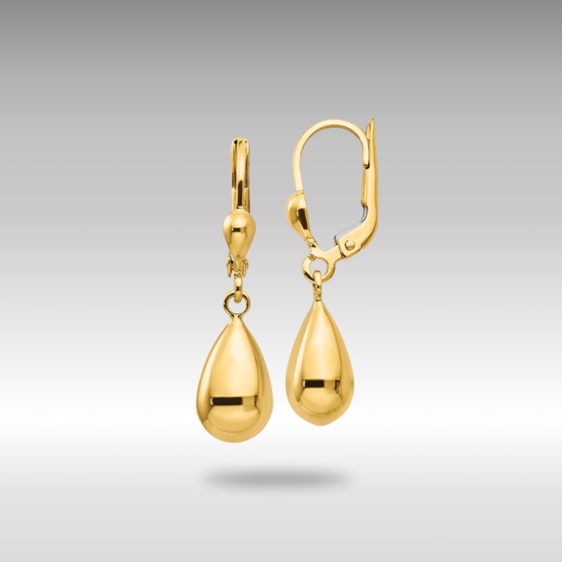 Gold Polished Fancy Dangle Leverback Earrings Model-H557
