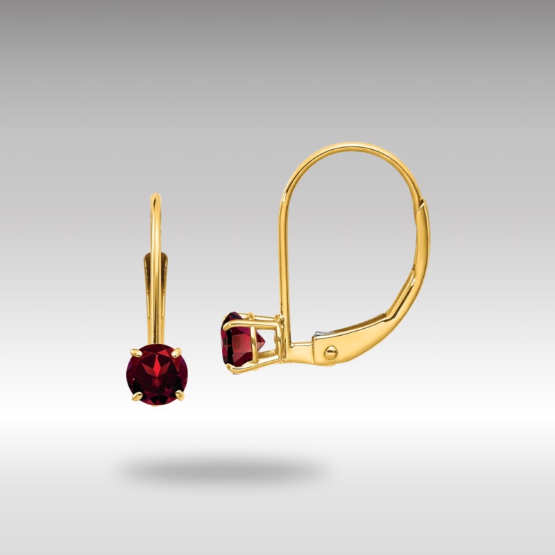 Gold Garnet Leverback Earrings – January Model-XBE73