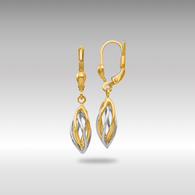 Gold Two-Tone Polished Dangle Leverback Earrings – Model TH857