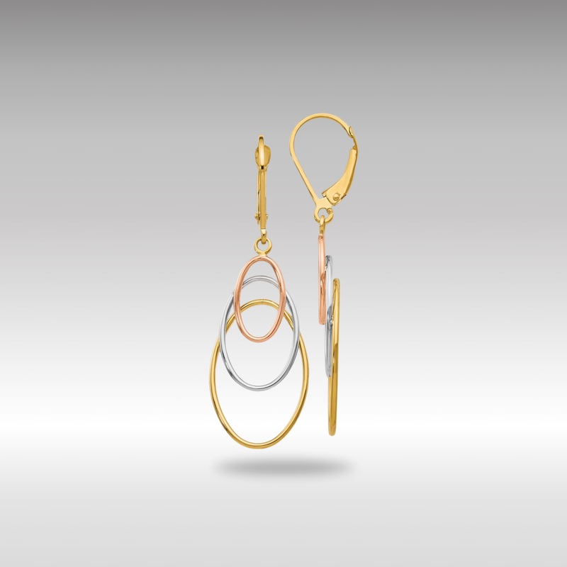 Gold Leslie’s 14K Tri-color Leverback Earrings – Model LE608