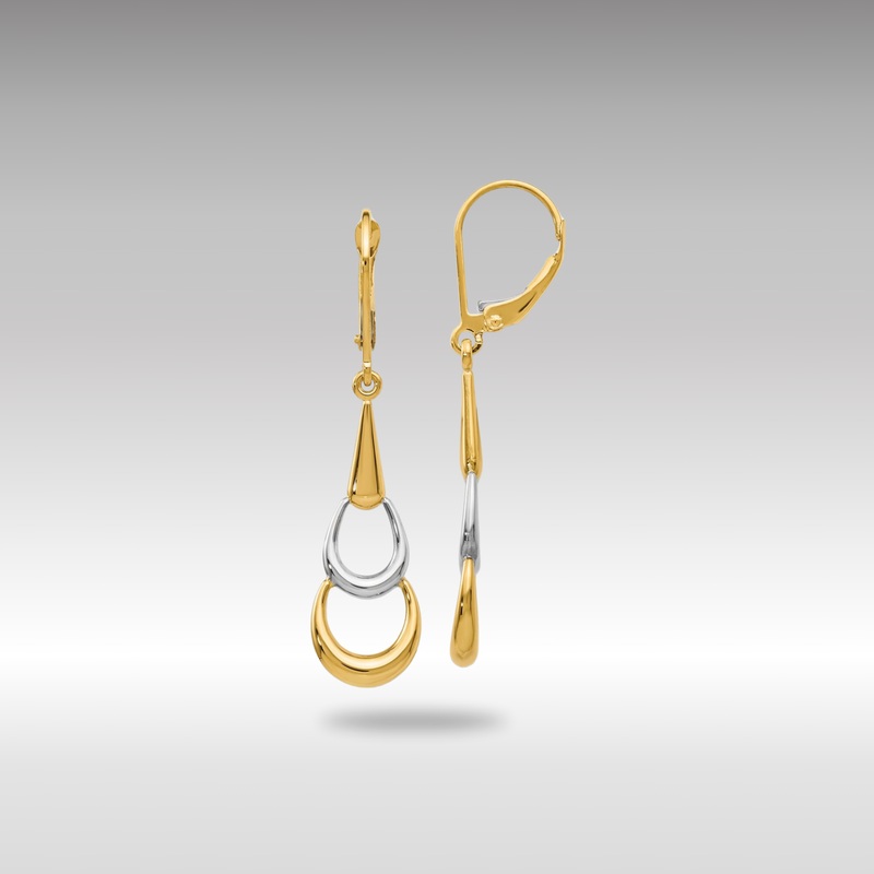 Gold Leslie’s 14K Two-tone Polished Leverback Earrings – Model LE601