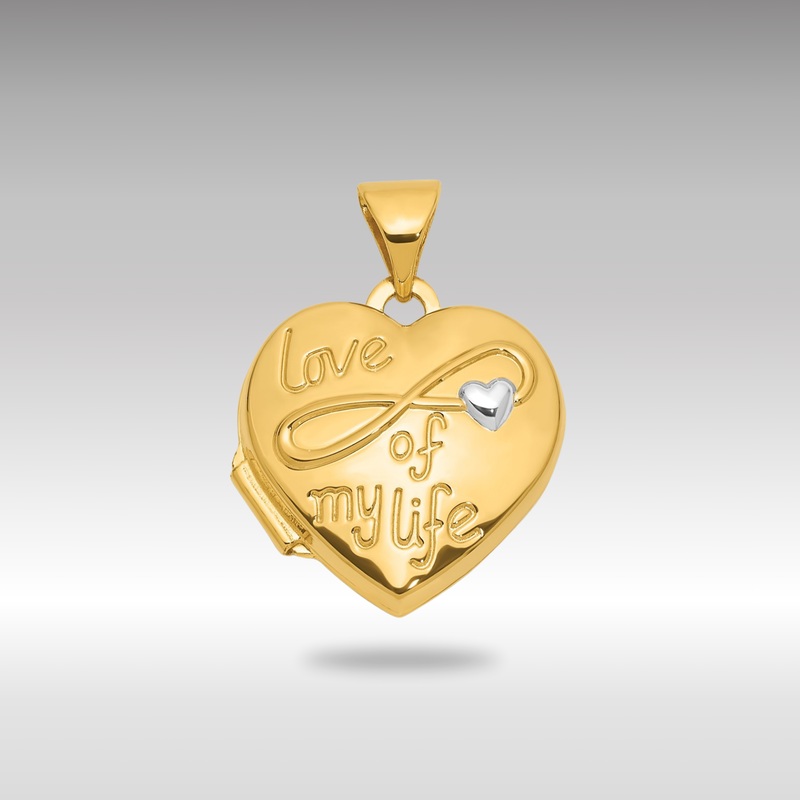 Gold Polished “LOVE OF MY LIFE” 15mm Heart Locket Pendant – Model XL856