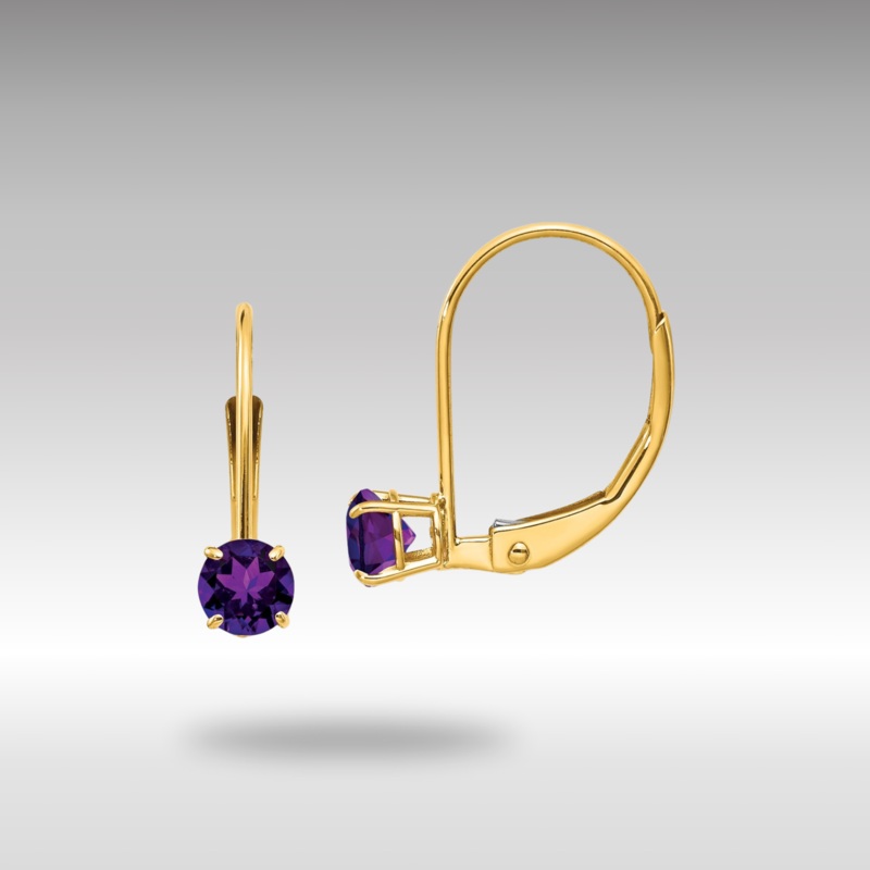 Gold Amethyst Leverback Earrings – February Model-XBE74