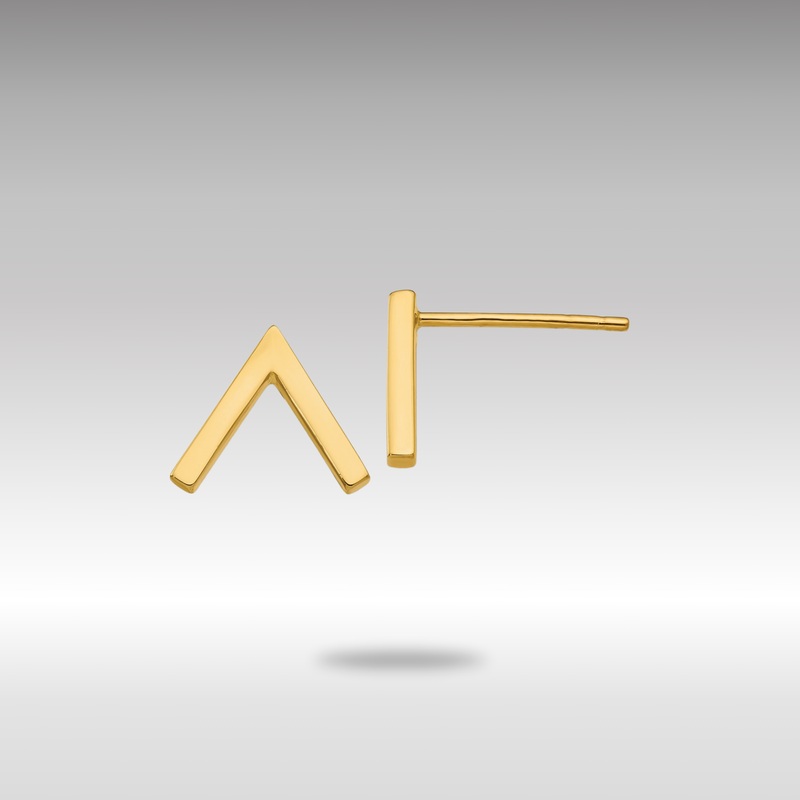 Gold Leslie’s 14K Polished Stud Earrings – Model LE1677