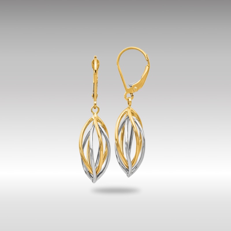 Gold Leslie’s 14K Two-tone Polished Leverback Earrings – Model LE626