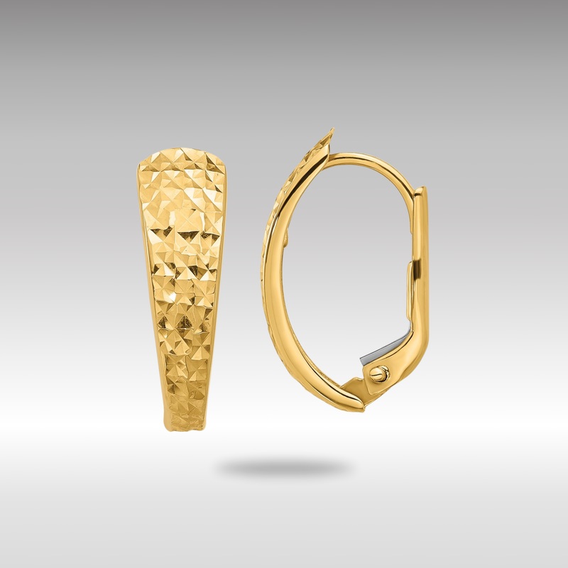 Gold Polished and Diamond-cut Leverback Earrings – Model TF2283