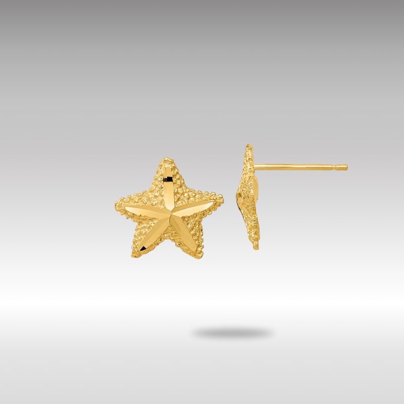 Gold Polished Diamond-cut Starfish Post Earrings – Model TC990