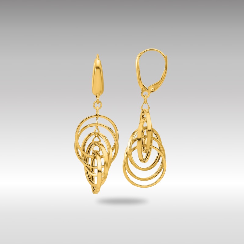 Gold Leslie’s 14K Polished Circles Dangle Earrings – Model LE2273
