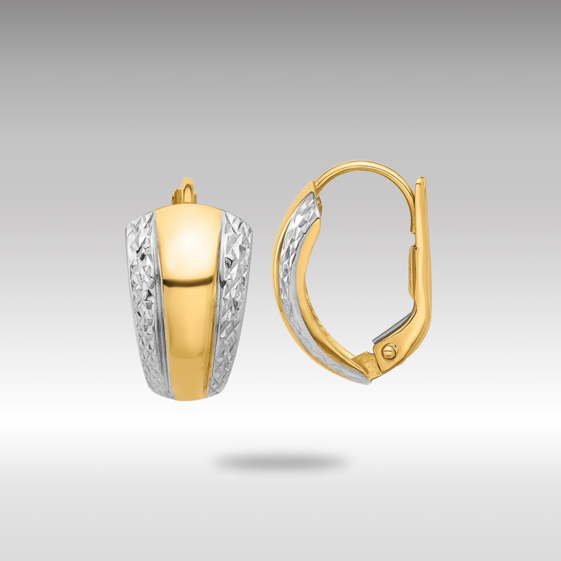 Yellow and White Gold Polished and Diamond-cut Leverback Earrings – Model TF2293