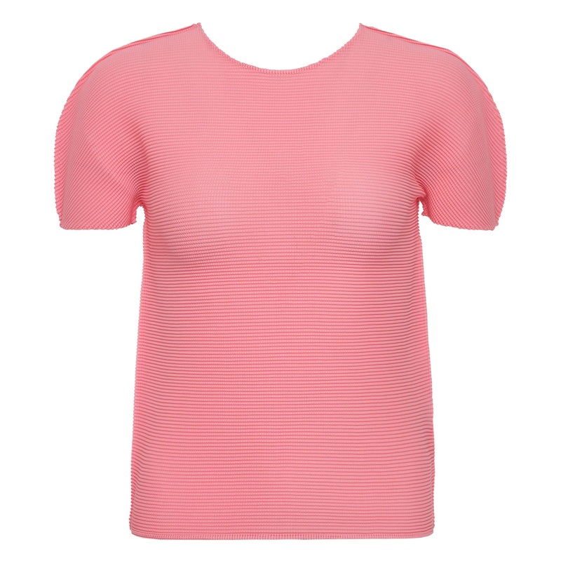 Stretch Pleats 1 Short Sleeve Round Neck Top