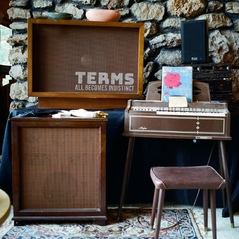 Terms – All Becomes Indistinct (Random Color Vinyl)