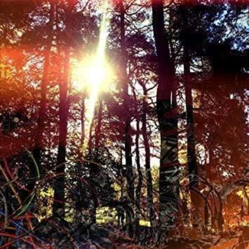 Viviankrist – Cross Modulation  Bootleg Remixes (Vinyl)