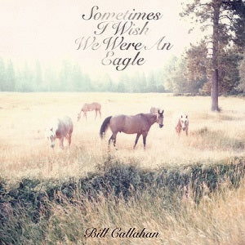 Bill Callahan – Sometimes I Wish We Were an Eagle (Vinyl)