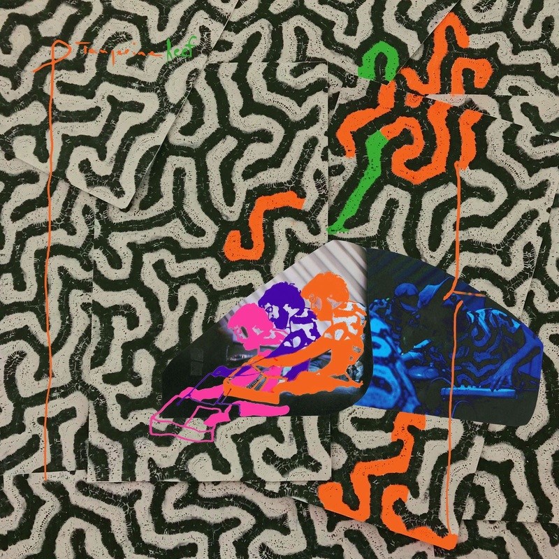 Animal Collective – Tangerine Reef (LP)