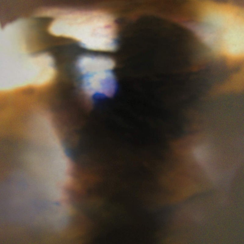 Animal Collective – Fall Be Kind (12-Inch, Vinyl EP)