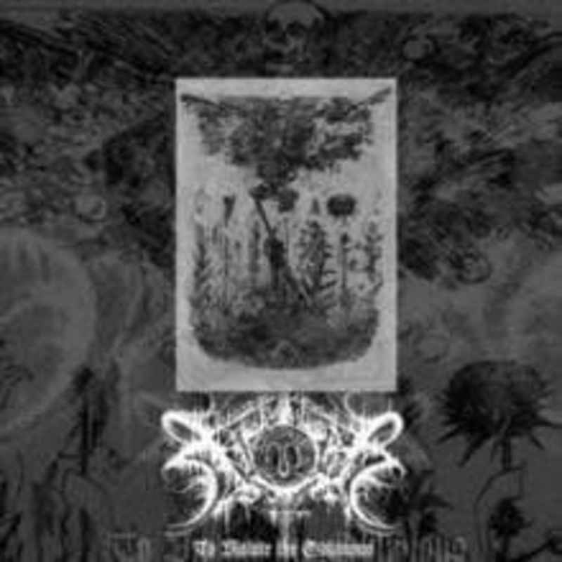 Xasthur – To Violate The Oblivious (2 LP) (Import)
