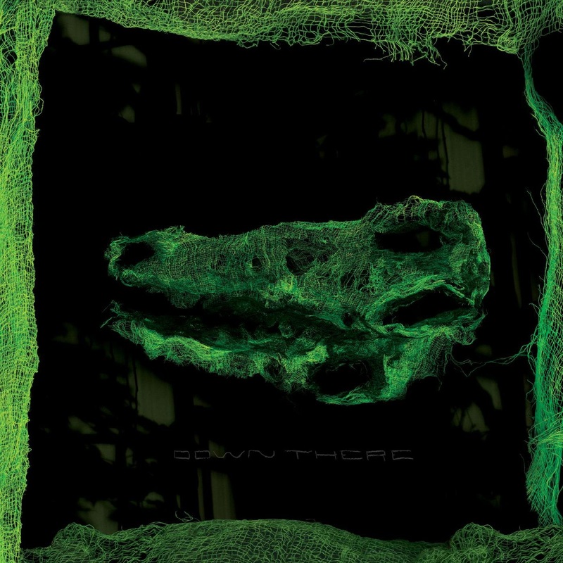 Avey Tare – Down There (Vinyl)