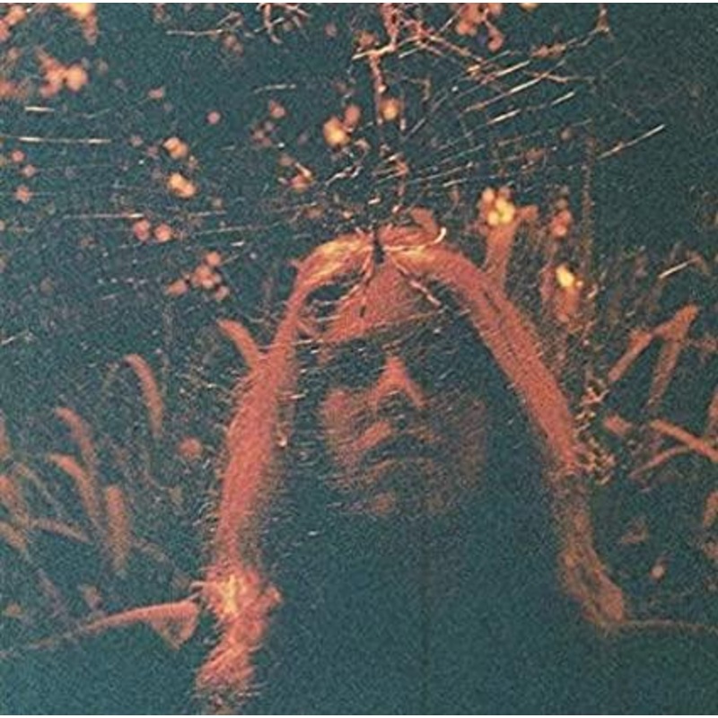 Turnover – Peripheral Vision (Magenta Color Vinyl)