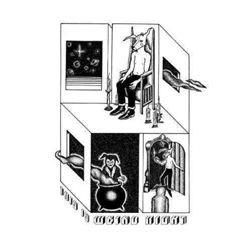 Weird Night – This Is Weird Night  (Vinyl)