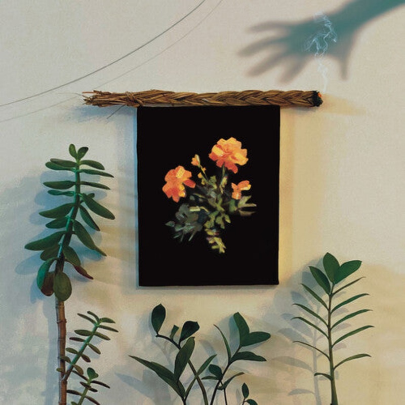 Why? – The Well I Fell Into (Explicit ) (Limited Color Vinyl) (LP)