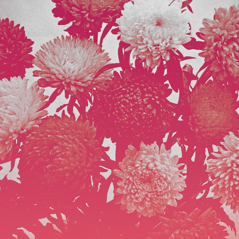 Amelia Courthouse – Broken Things (Vinyl)