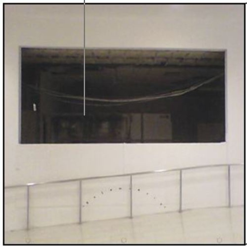 Sun Araw – Belomancie (Vinyl)