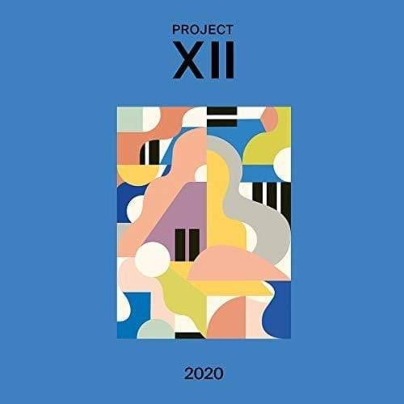 Various Artists – Xii 2020 (LP)