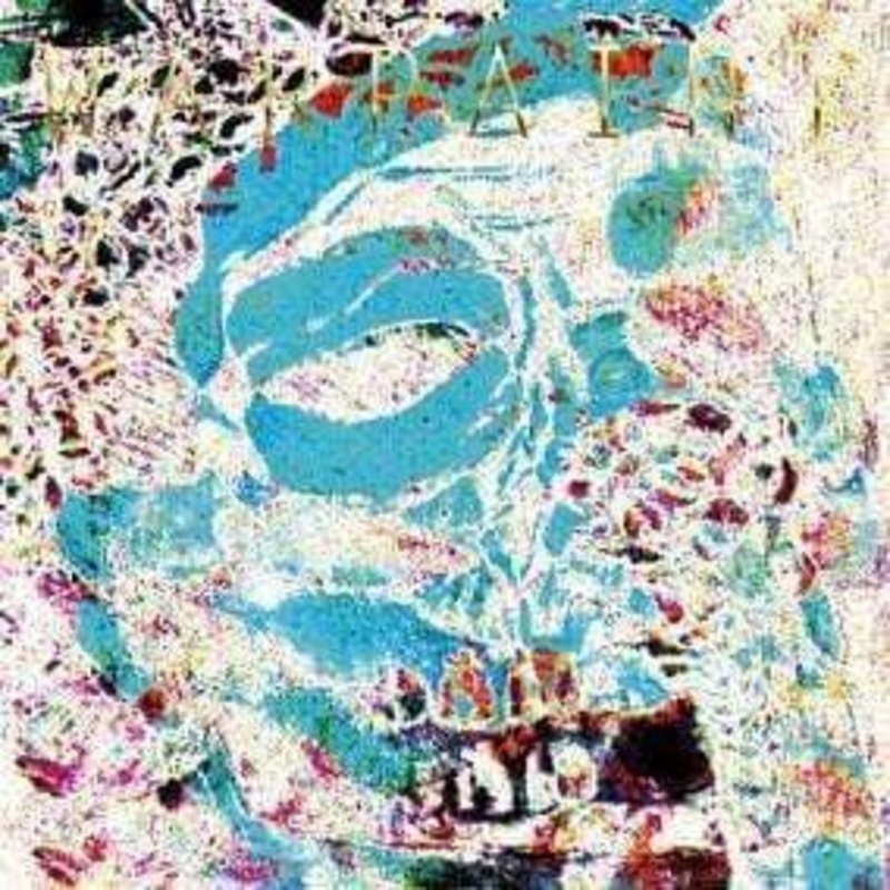 Warpaint – The Fool (Andrew Weatherall Remixes) (Color Vinyl)