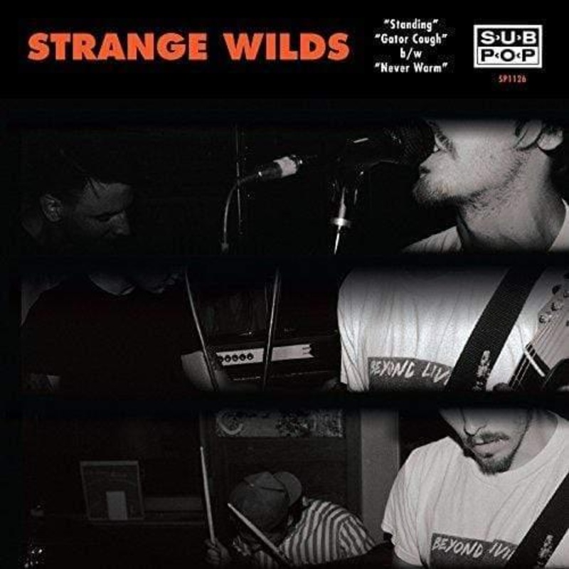 Strange Wilds – Standing +2 (Vinyl)