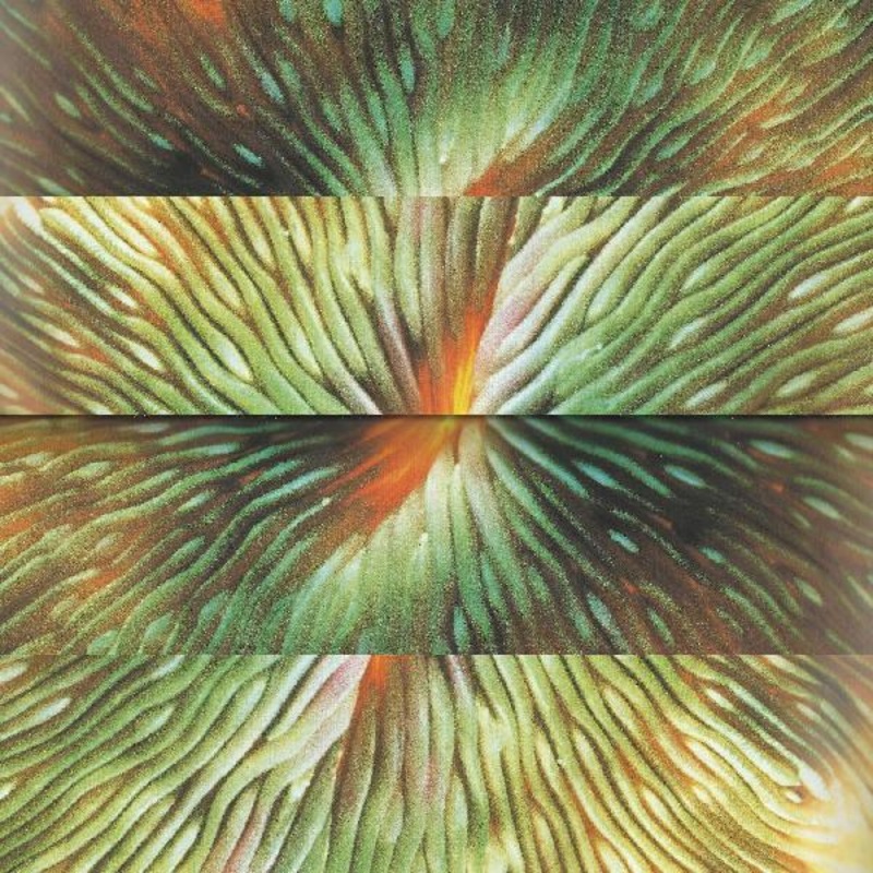 Active Surplus – Mirroring (Vinyl)