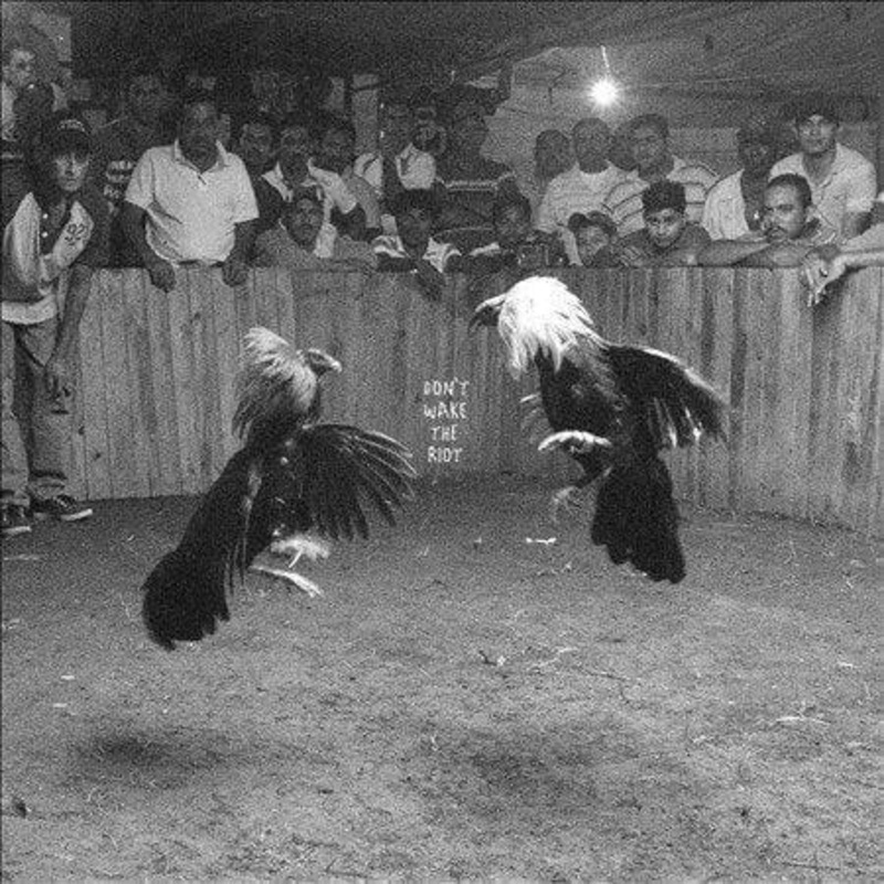Black Pistol Fire – Don’t Wake The (LP)