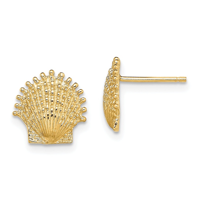 10K Yellow Gold 10K Beaded Scallop Shell Post Earrings