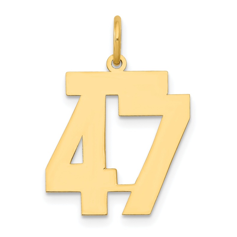 14k Yellow Gold 14k Medium Polished Number 47 Charm
