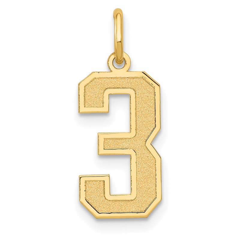 14k Yellow Gold 14k Medium Satin Number 3 Charm