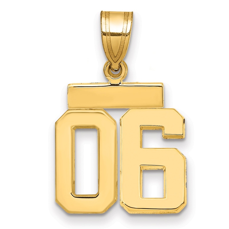 10K Yellow Gold Small Polished Number 06 Charm