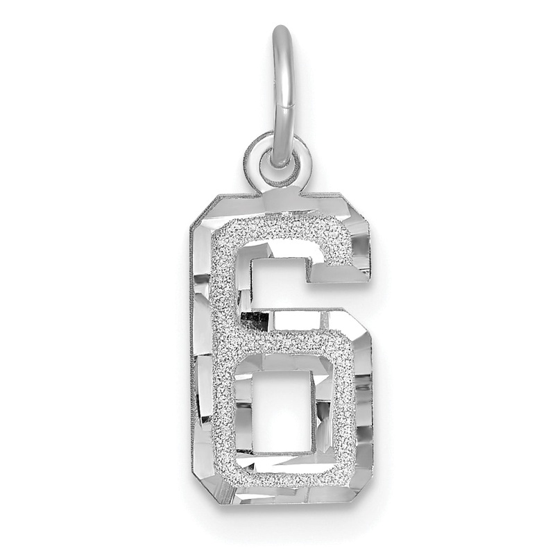 14k White Gold 14kw Small Brushed Diamond-cut Number 6 Charm