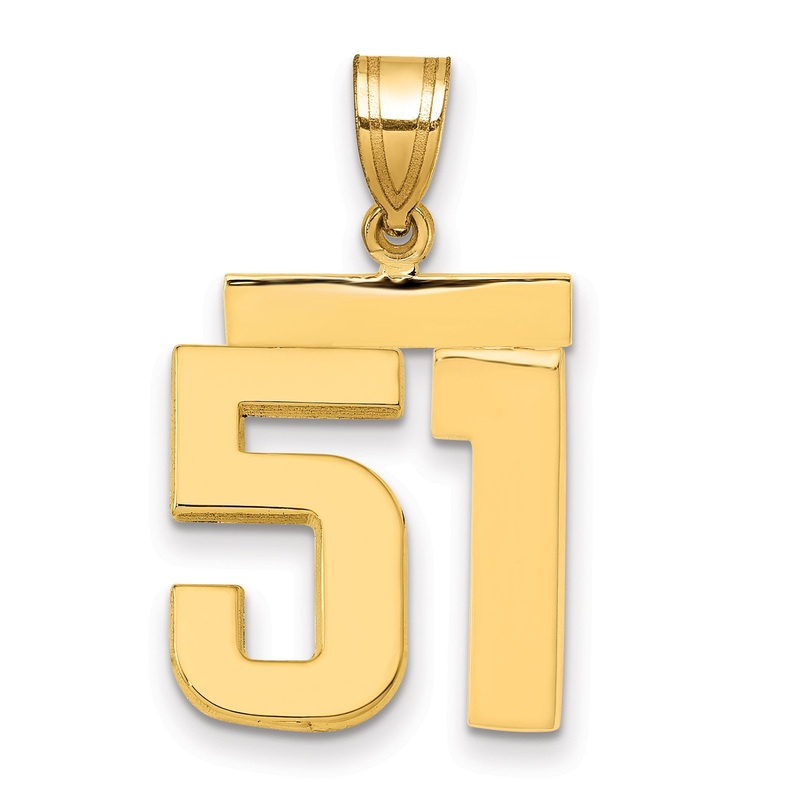 10K Yellow Gold Medium Polished Number 51 Charm
