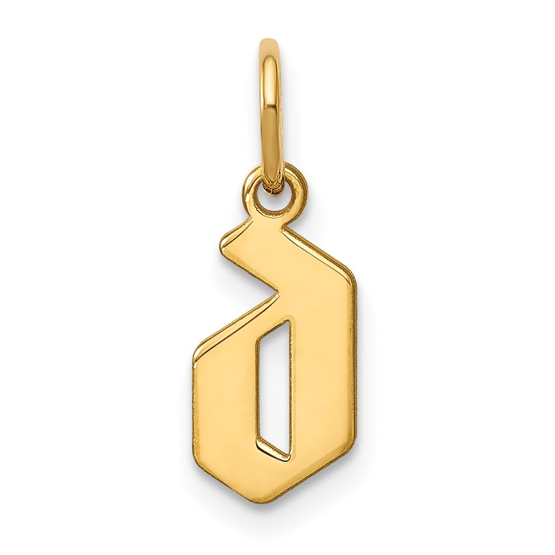14k Yellow Gold 14KY Lower case Letter D Initial Pendant