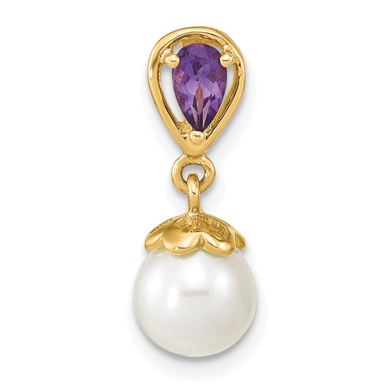 14k Yellow Gold 14K Gold w/ Amethyst & Freshwater Cultured Pearl Polished Chain Slide